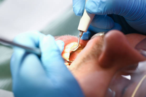 Best Emergency Cosmetic Dentistry in Little Flock, AR