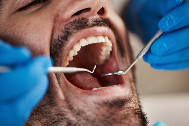 Best Orthodontic Emergency Dentist in Little Flock, AR